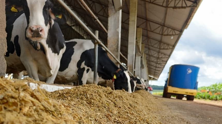 Interleite Sul: Inscrições abertas e reflexão sobre a IA e mudanças climáticas na produção de leite