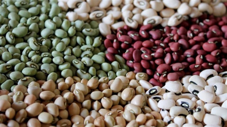 Brasil pode aumentar suas exportações de alimentos saudáveis e nutritivos
