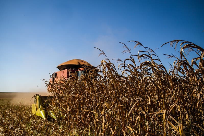 Agropecuária cresce, mas enfrenta desafios com taxa Selic elevada