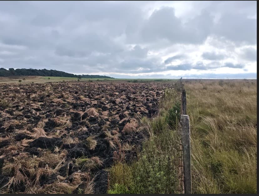 Produtor multado em R$ 542 mil por crime ambiental em Ponta Grossa