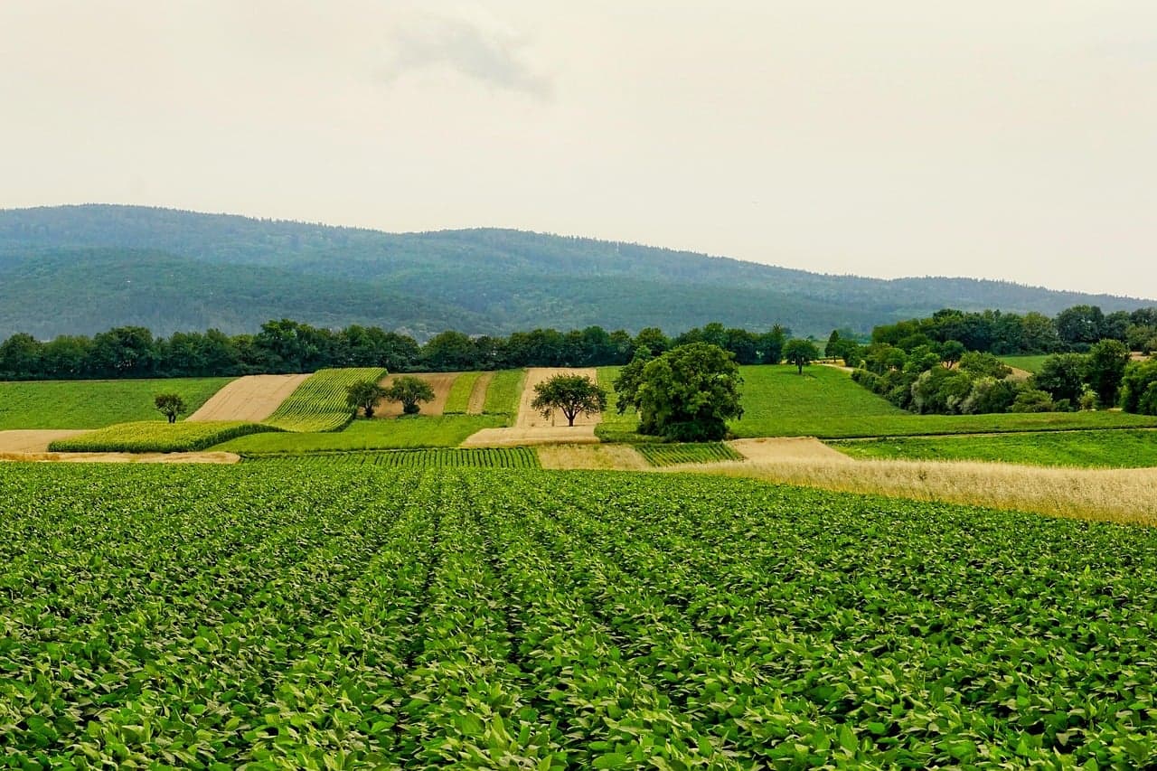 Faep alerta sobre corte no seguro rural que ameaça produtores