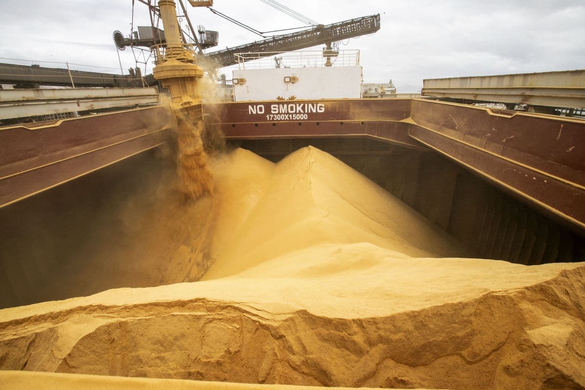 Anec projeta 110 milhões de toneladas de soja exportadas em 2026