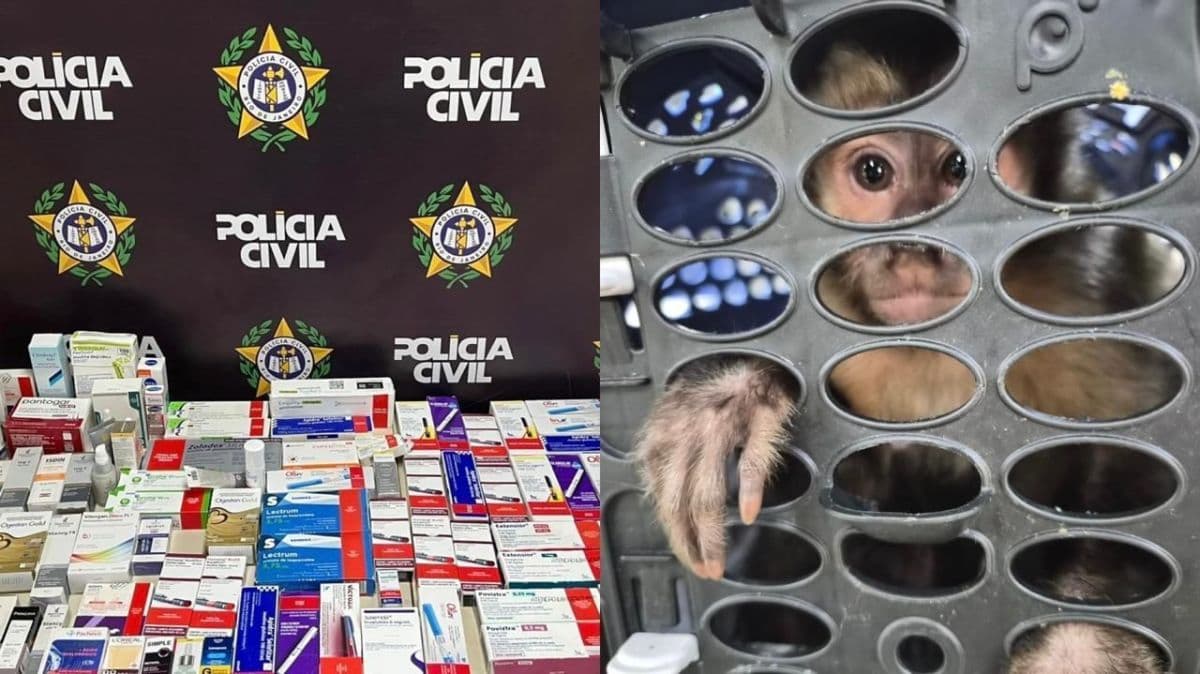 Suspeito de roubo a farmácias é preso em Jacarepaguá
