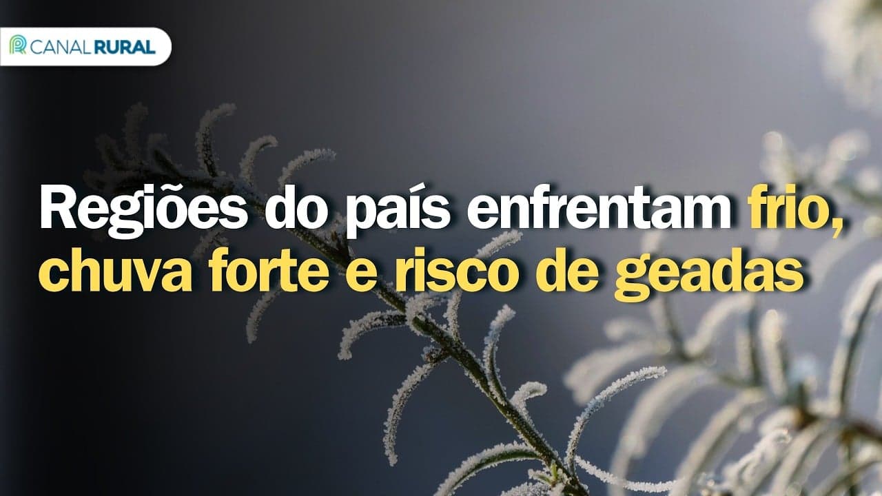 Clima severo afeta lavouras de milho em Goiás e Paraná