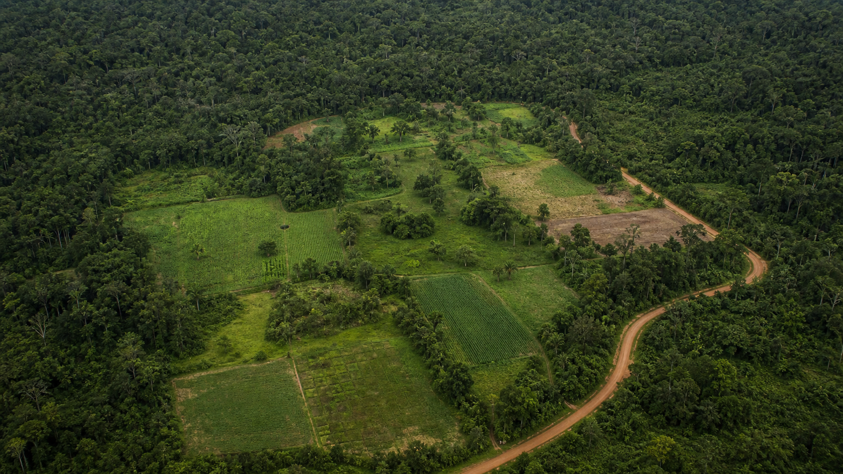 Cooperativismo na Amazônia pode aumentar renda e promover conservação