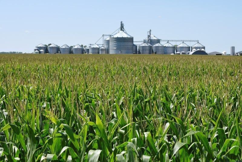 Modelo atual encarece crédito rural e expõe limites agrícolas