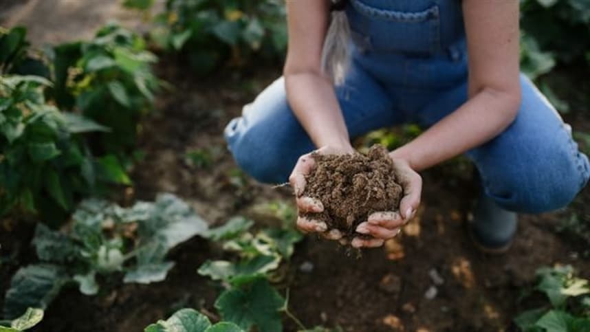 Fórum de Agricultura Regenerativa 2026 promete impulsionar práticas sustentáveis no Brasil