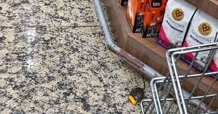 Incidente inusitado em supermercado de Vila Velha causa alvoroço