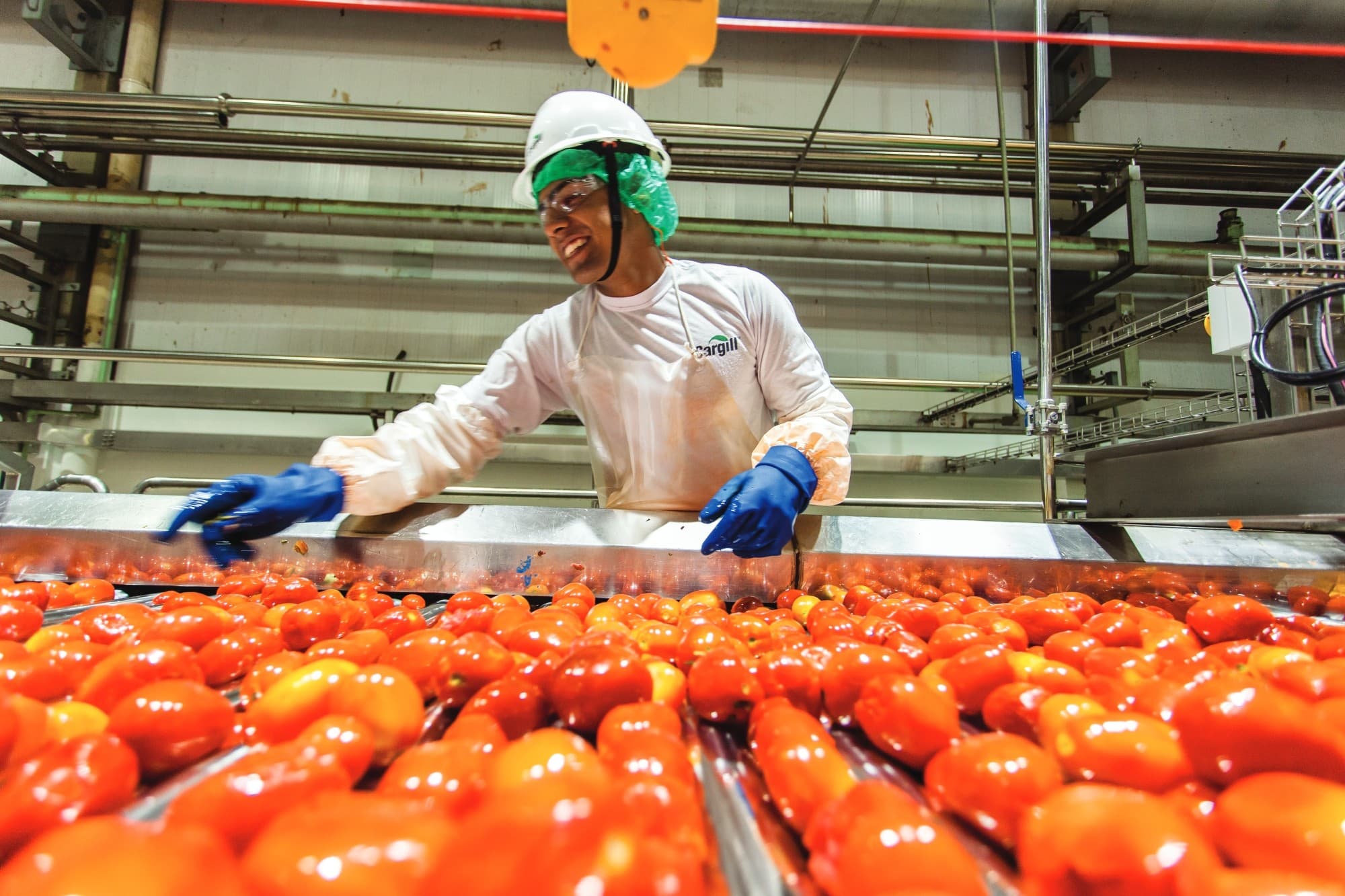 Relatório revela desafios na resiliência dos sistemas alimentares globais