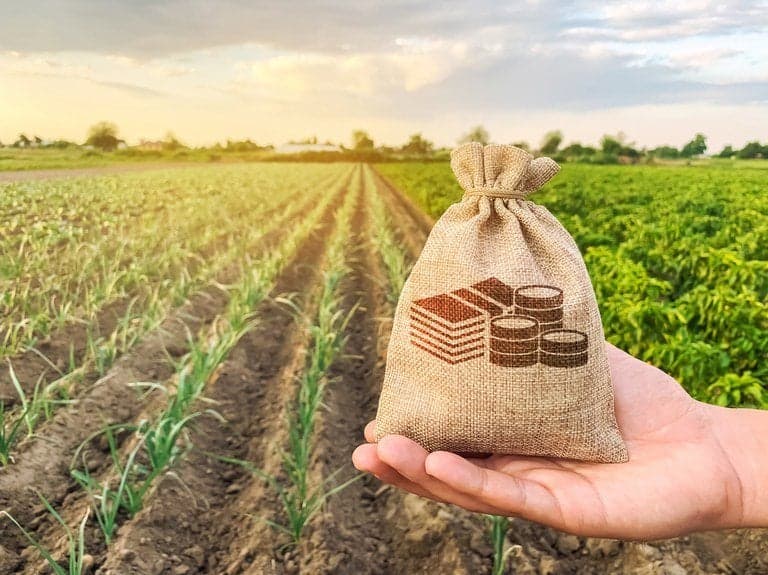 Fiagro atinge R$ 65,8 bilhões em patrimônio líquido e diversificação de investidores