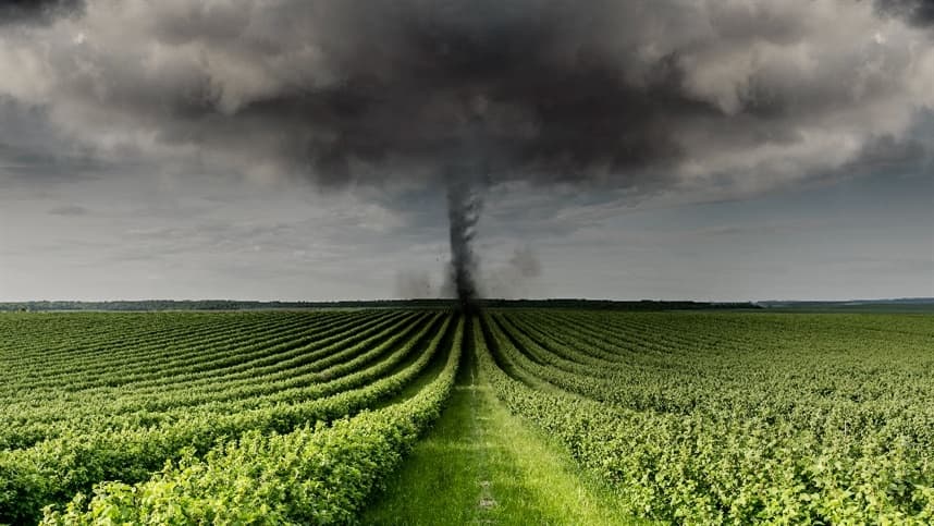 A importância do seguro rural na safra brasileira diante do clima instável e dos riscos constantes