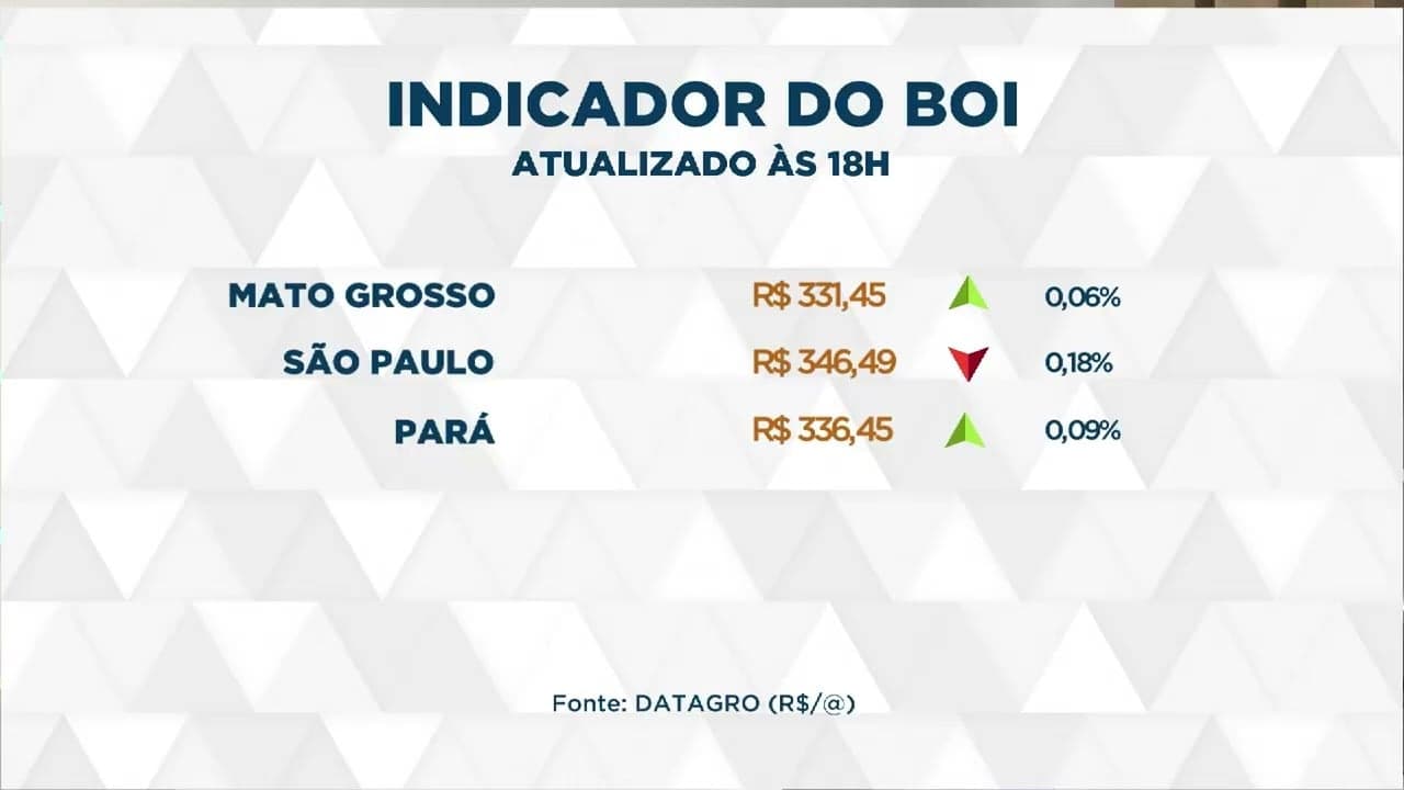 Cotações do boi gordo superam R$ 330 em diversos estados brasileiros