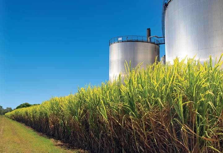 Taxa de 25% dos EUA impacta gravemente o agronegócio brasileiro