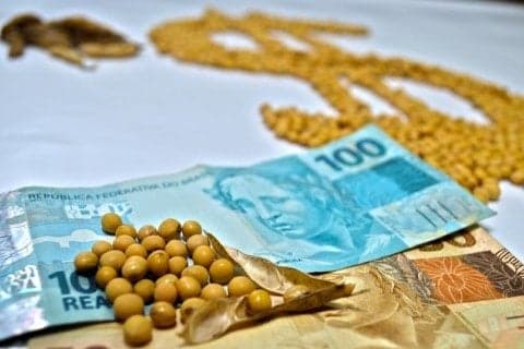 Mercado de soja apresenta leves quedas, mas com suporte na demanda