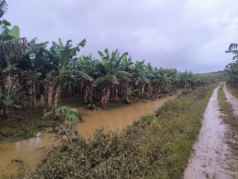 Governo de SP oferece crédito emergencial para produtores do Vale do Ribeira