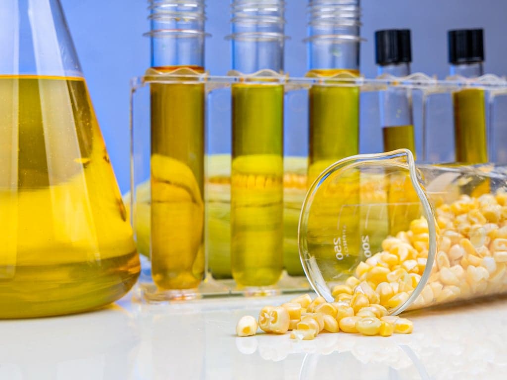 Produção de etanol de milho no Brasil quadruplica, mas demanda é desafio