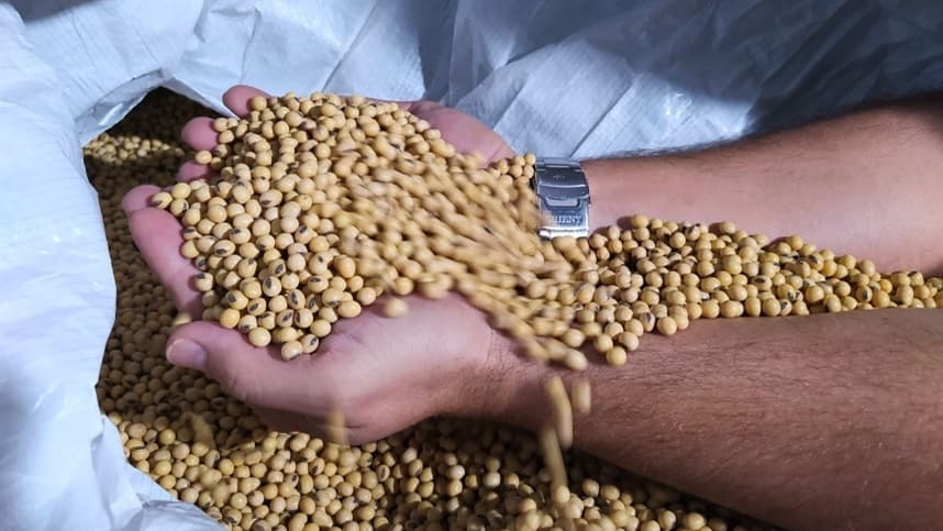 Febrasem 2026 discutirá futuro da comercialização de sementes