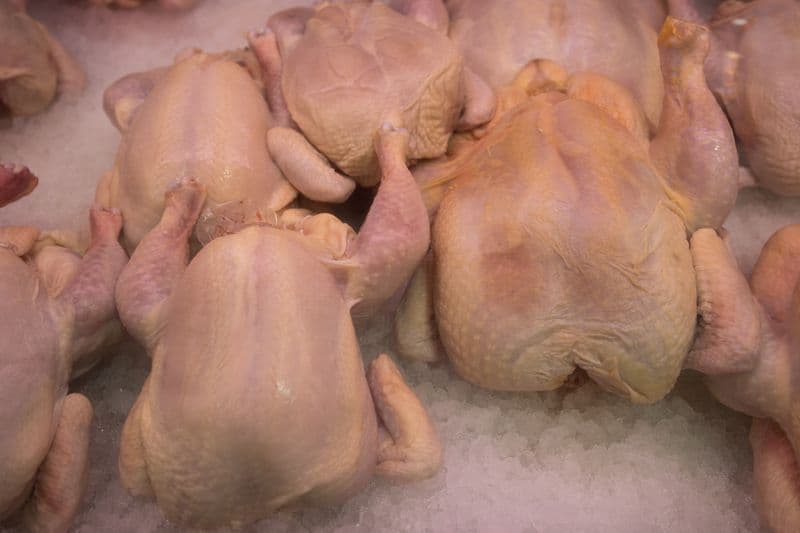 Recorde nas exportações de carne de frango do Brasil em 2026