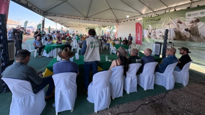 Pecuária no sul do Maranhão cresce com assistência técnica do Senar
