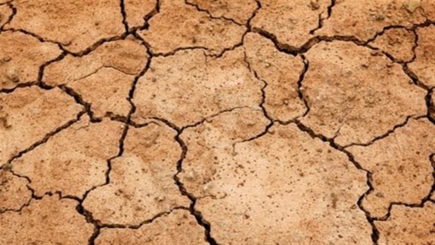 Seca e calor afetam lavouras na Europa Ocidental