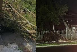 Alerta de Temporal em MS: Risco de Tornados Nesta Sexta-feira