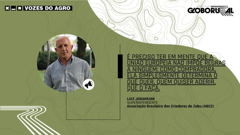 Brasil lidera mercado de carne bovina, mas enfrenta desafios globais