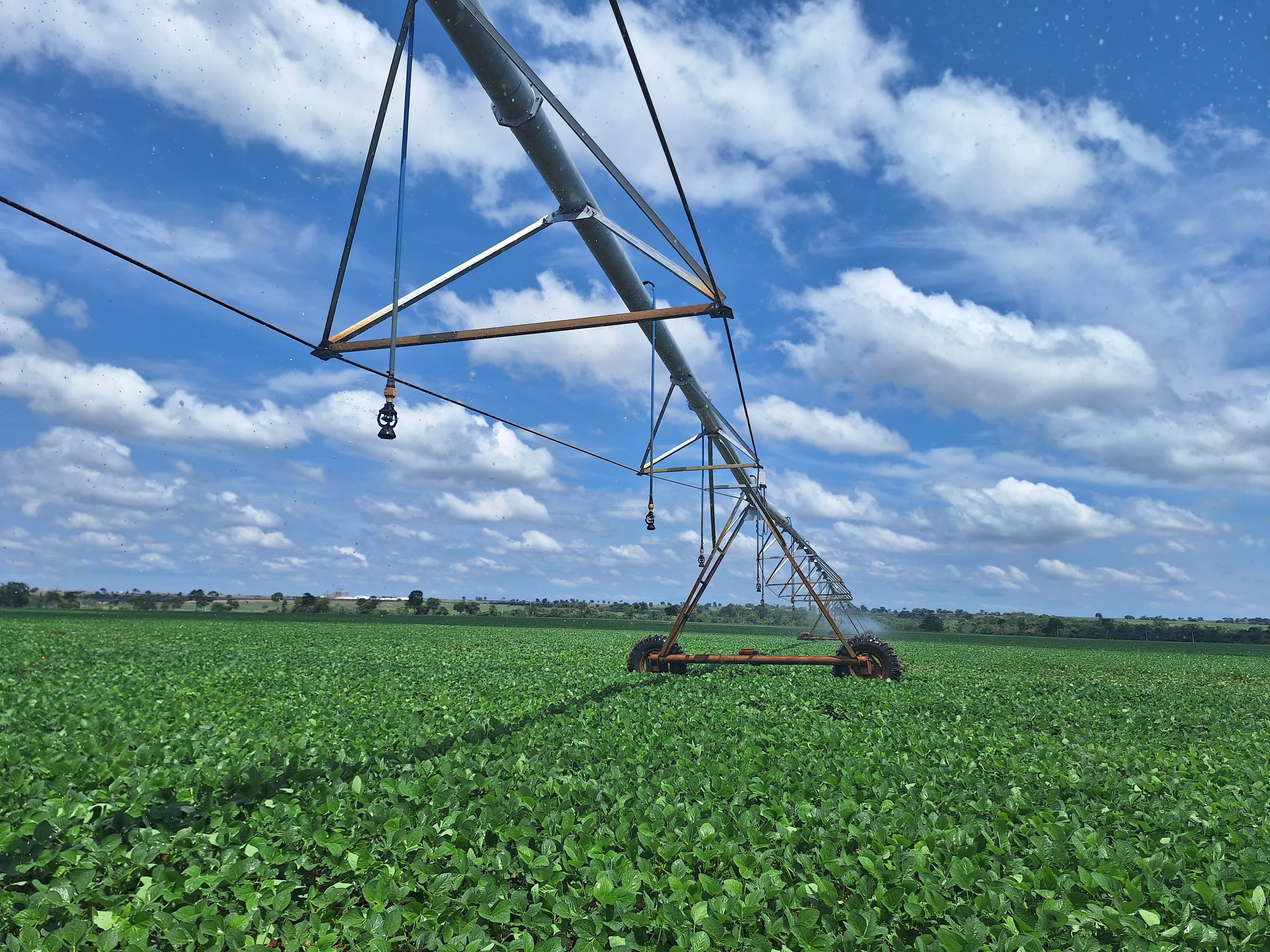 Agronegócio pode expandir área irrigada no Brasil em 55,8 milhões de hectares