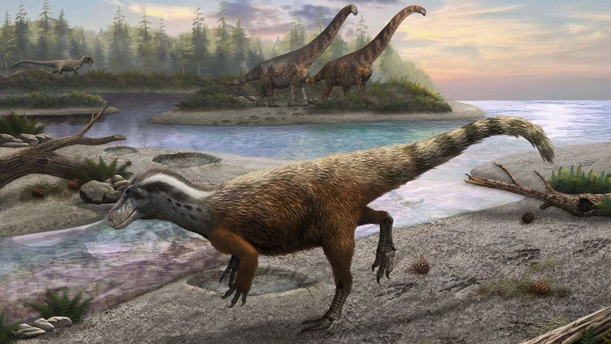Descoberta de pegadas de dinossauros revela novos comportamentos