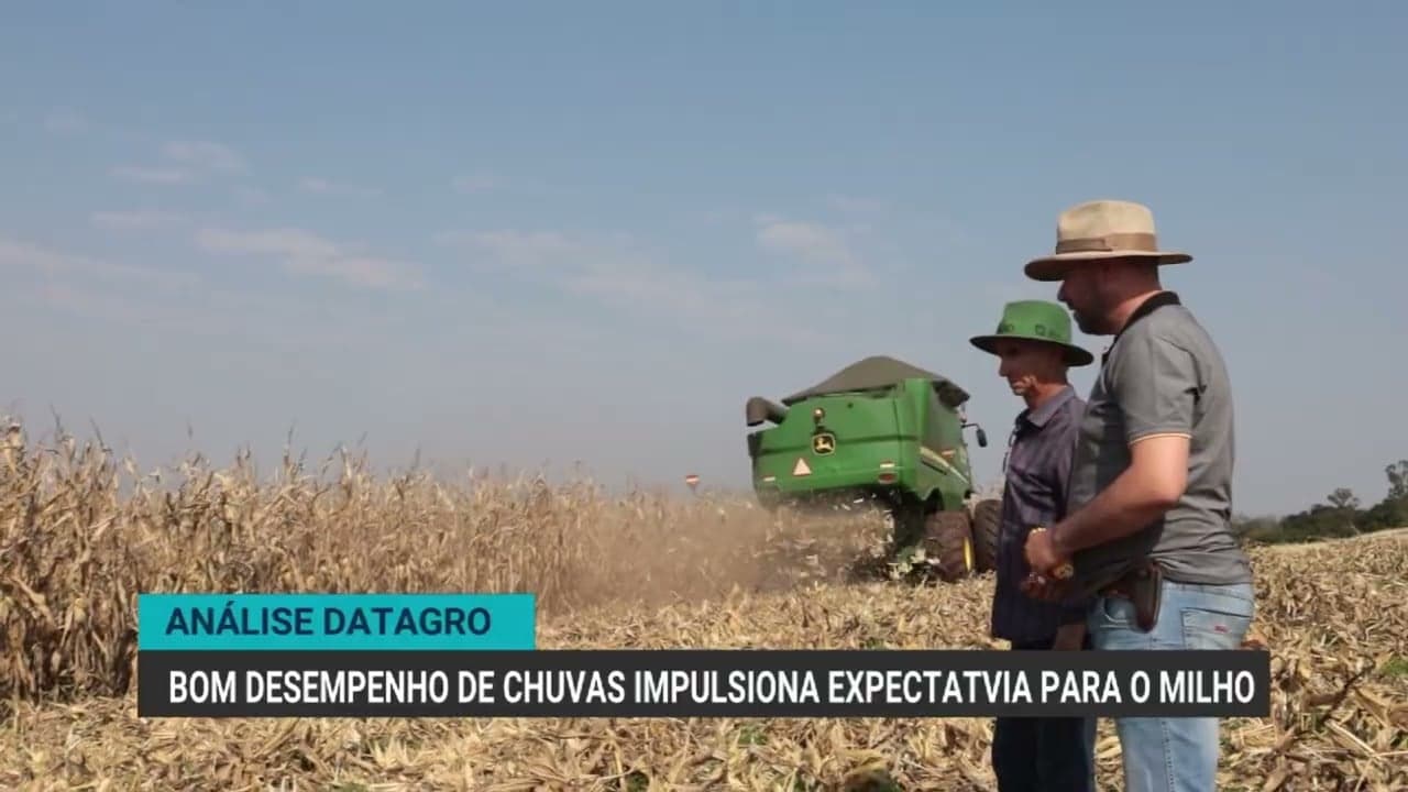 Produção de milho no Brasil deve atingir 141,3 milhões de toneladas