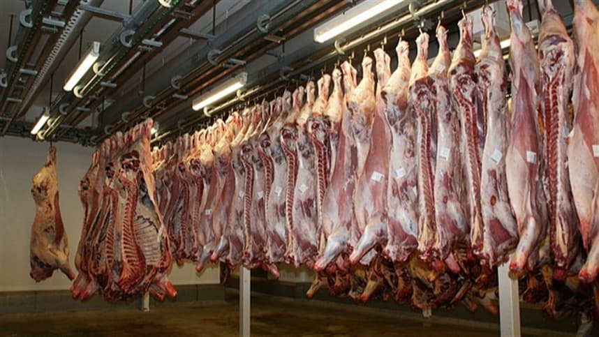 Exportações brasileiras de carne suína batem recorde em maio