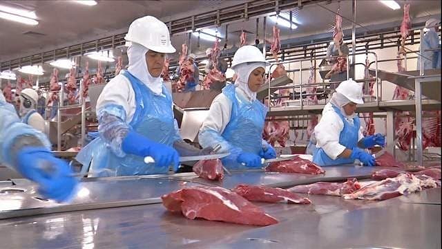 Recorde nos preços da carne bovina nos EUA devido à escassez de gado