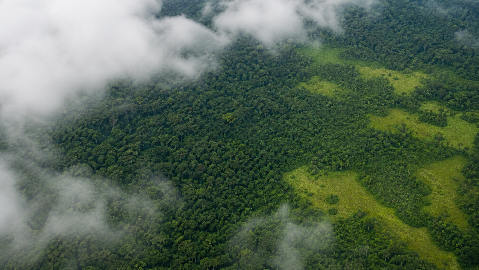 Câmara debate redução do desmatamento e mudanças na legislação ambiental