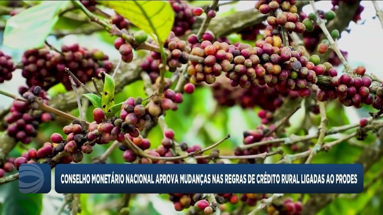 CMN atualiza crédito rural e facilita acesso a financiamentos