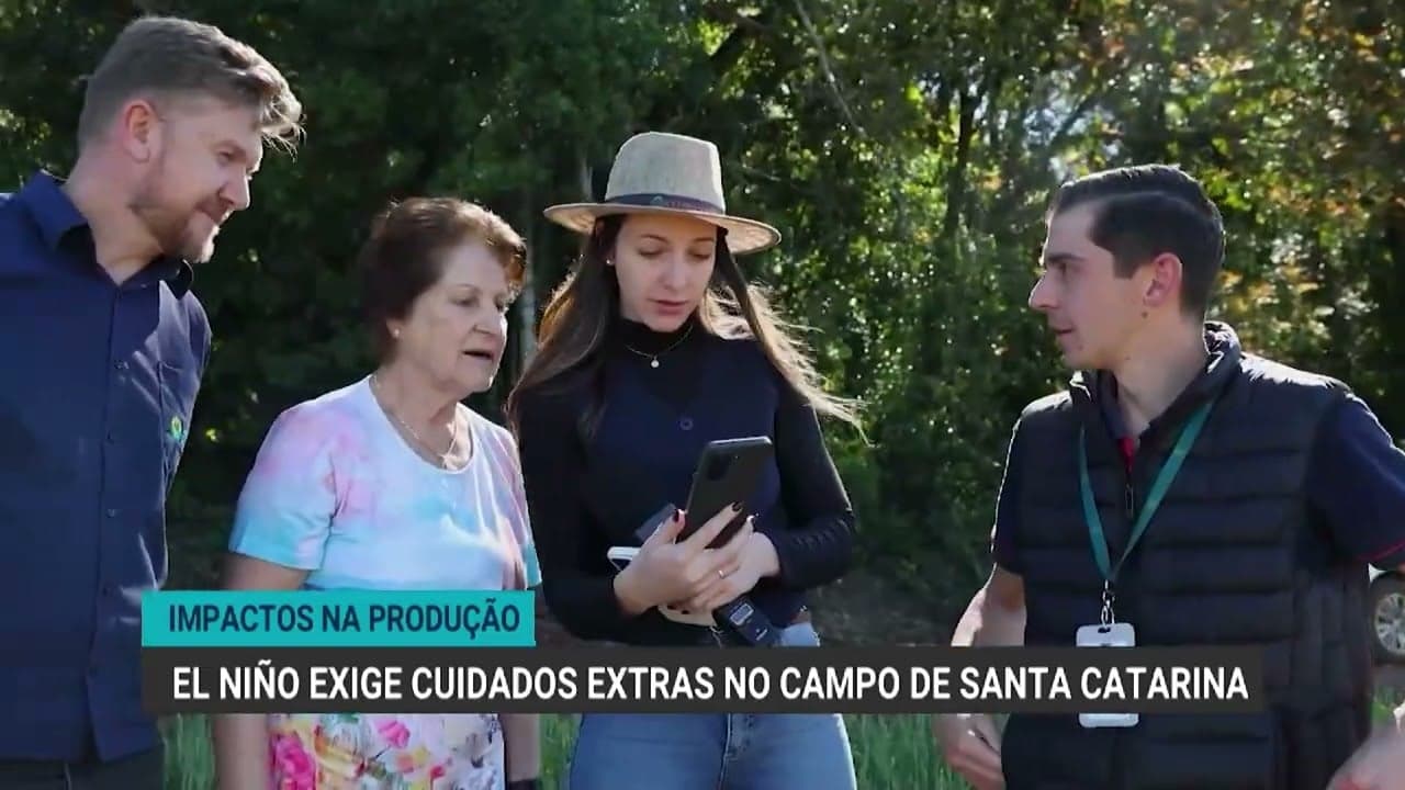 Produtores de Santa Catarina se preparam para impactos do El Niño
