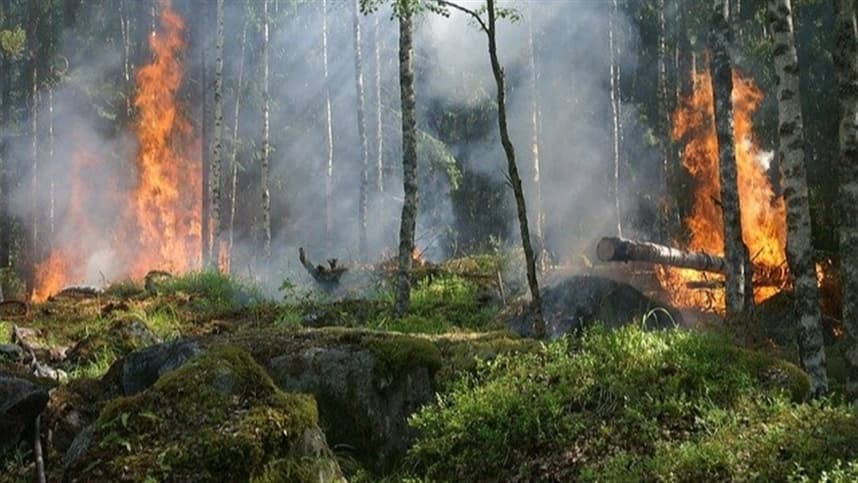 Congresso discute liberação de R$ 337,5 mi para combate a incêndios