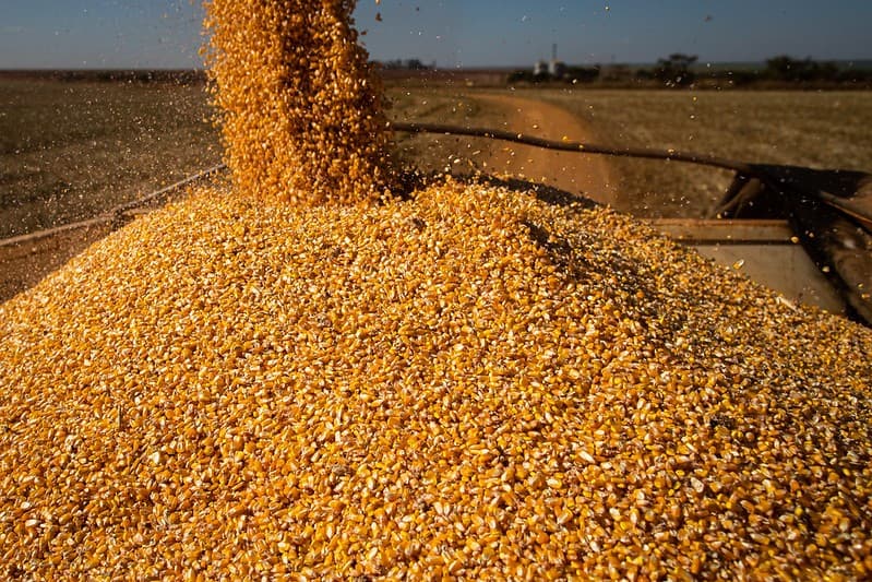 Preços agropecuários recuam 9,79% no primeiro trimestre de 2026