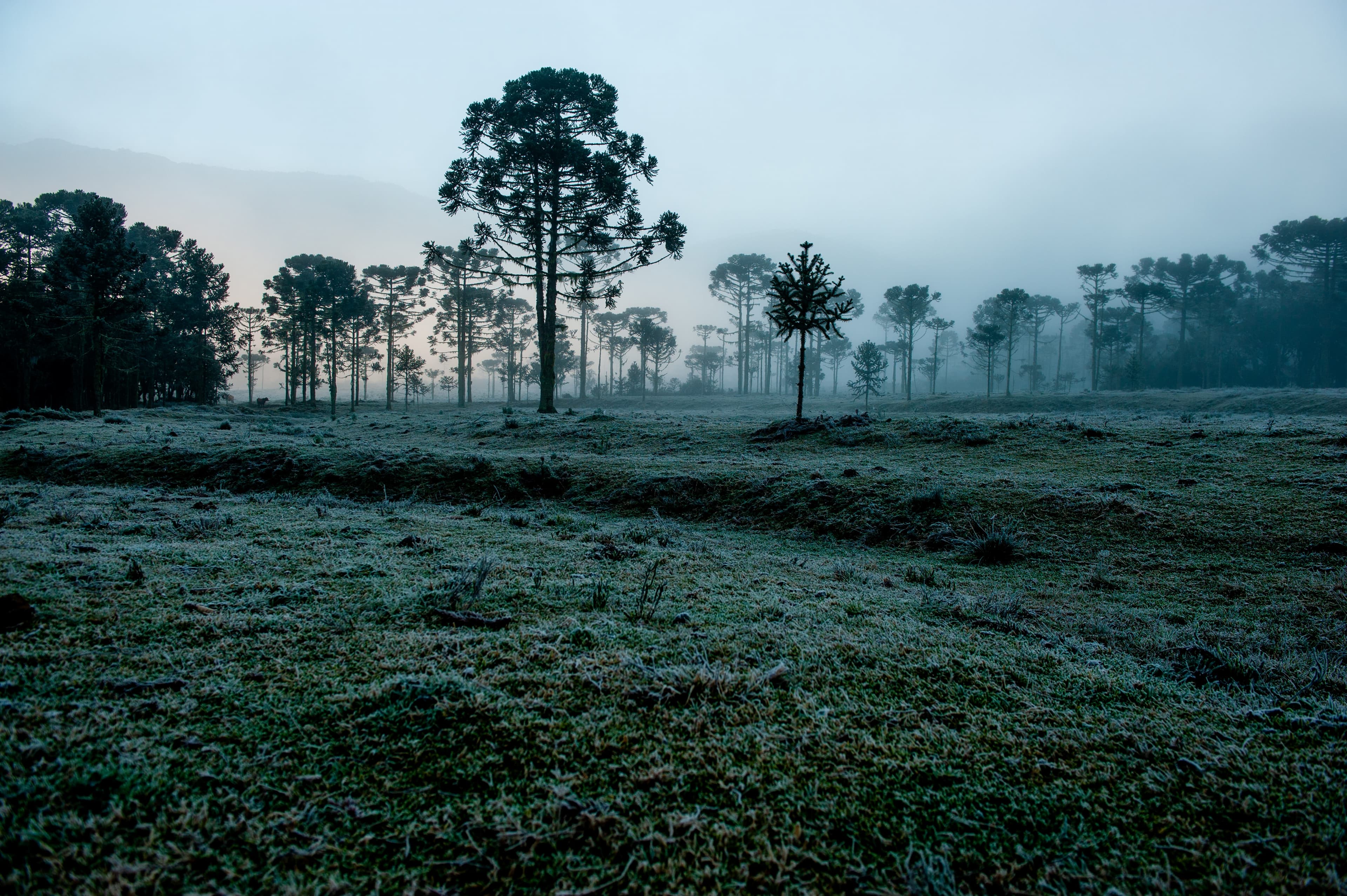 Inverno 2026 traz frio intenso e chuvas acima da média no Brasil