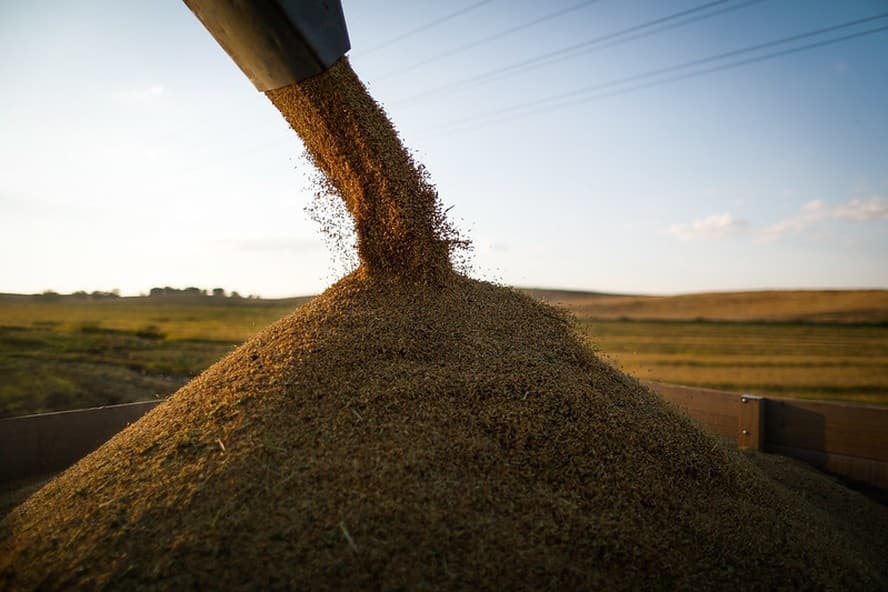 Governo se prepara para autorizar importação de arroz por meio de Medida Provisória