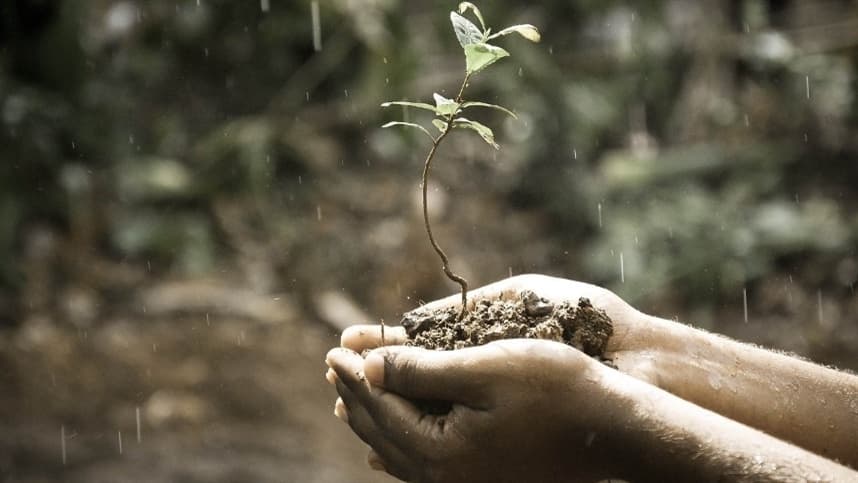 Agricultores argentinos comemoram alívio trazido pelas chuvas.