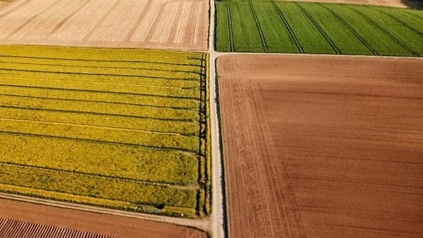 Valorização das terras produtivas impulsionada pela demanda global de alimentos