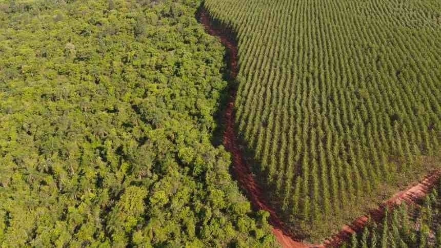 CNA destaca impacto de tarifas comerciais sobre agro brasileiro