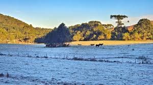 Como ficará o clima nos próximos dias: Previsões para o frio