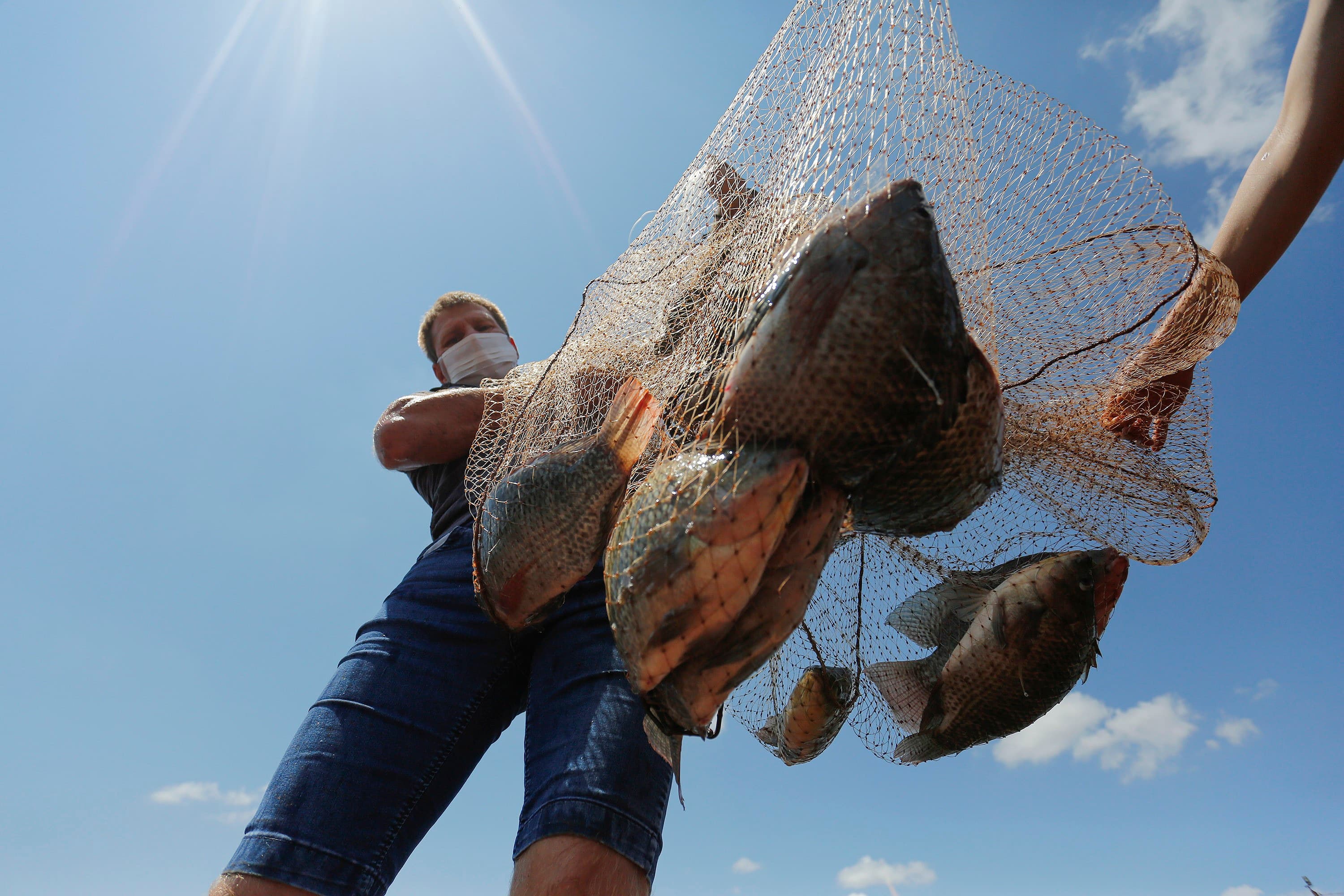 Setor de pescados brasileiro aguarda reabertura de mercado europeu