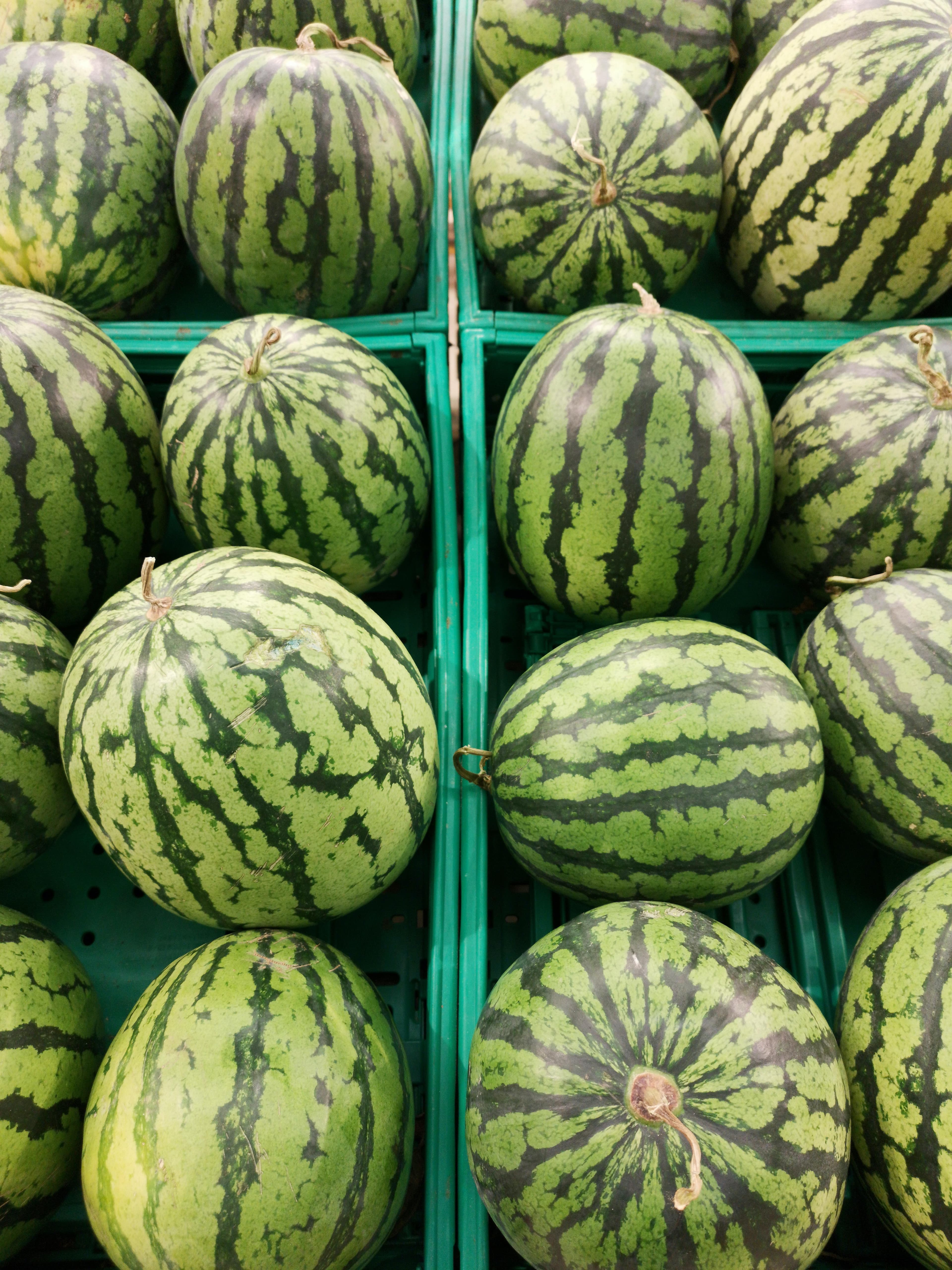 Brasil inicia exportação de produtos agro para diversos países