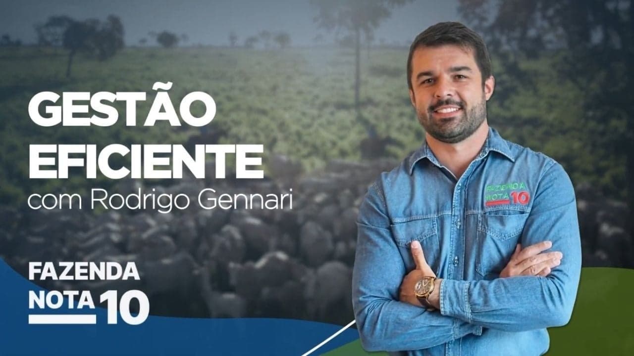 Gestão de pastagens é essencial para lucratividade na pecuária