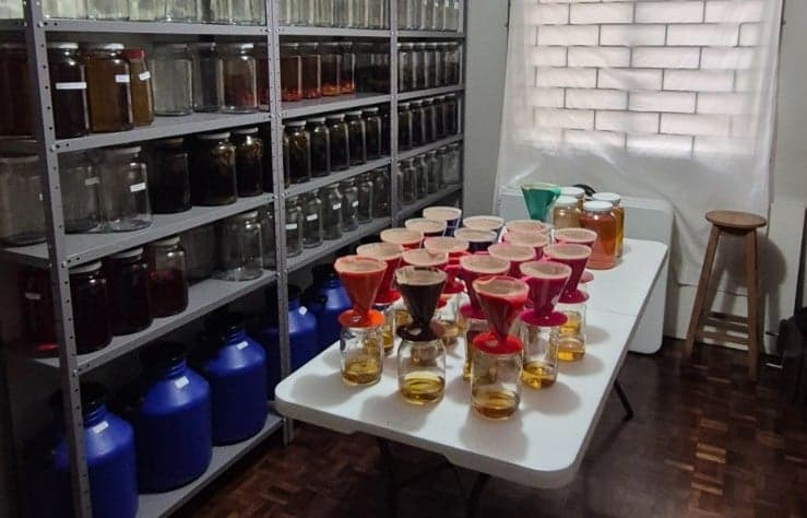 Apreensão de Bebidas Irregulares em Curitiba Impacta Setor