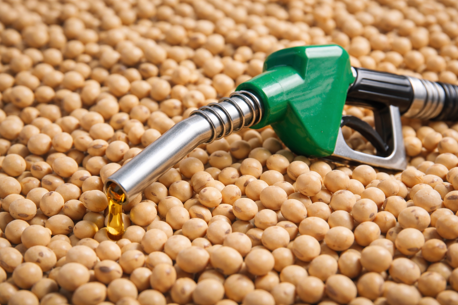 Aumento do diesel em RS pode gerar R$ 612 milhões em custos agrícolas
