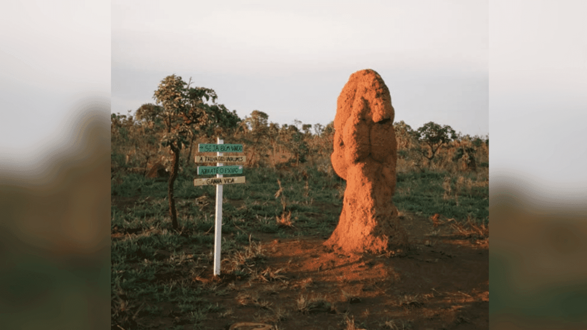 Professora desaparece no Parque Nacional das Emas durante atividade