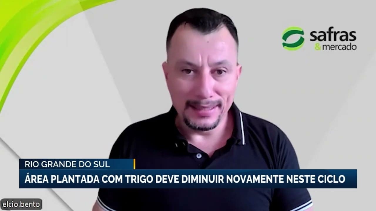 Rio Grande do Sul deverá reduzir área plantada com trigo