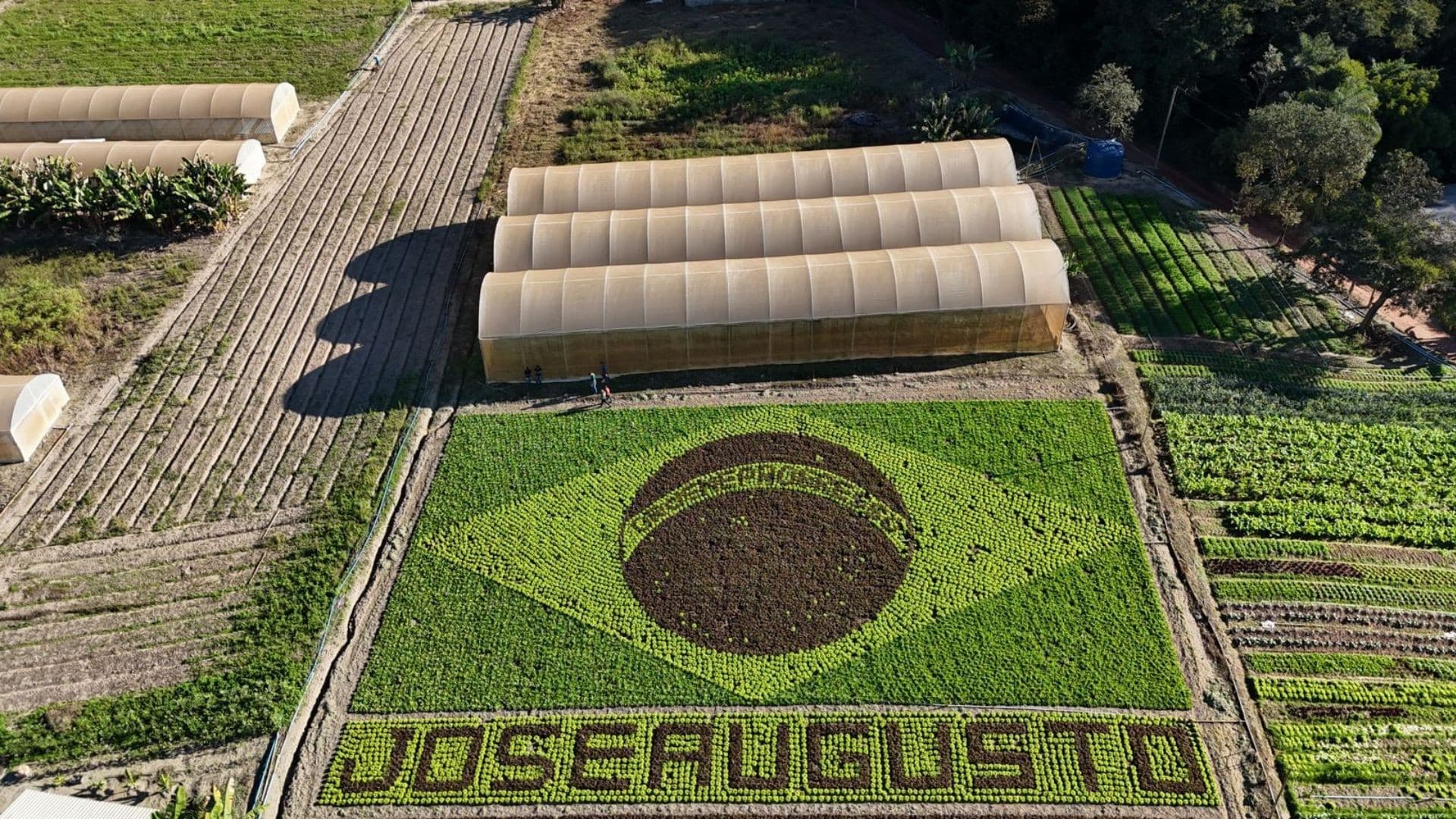 Agricultor de Brumadinho cria bandeira do Brasil com hortaliças